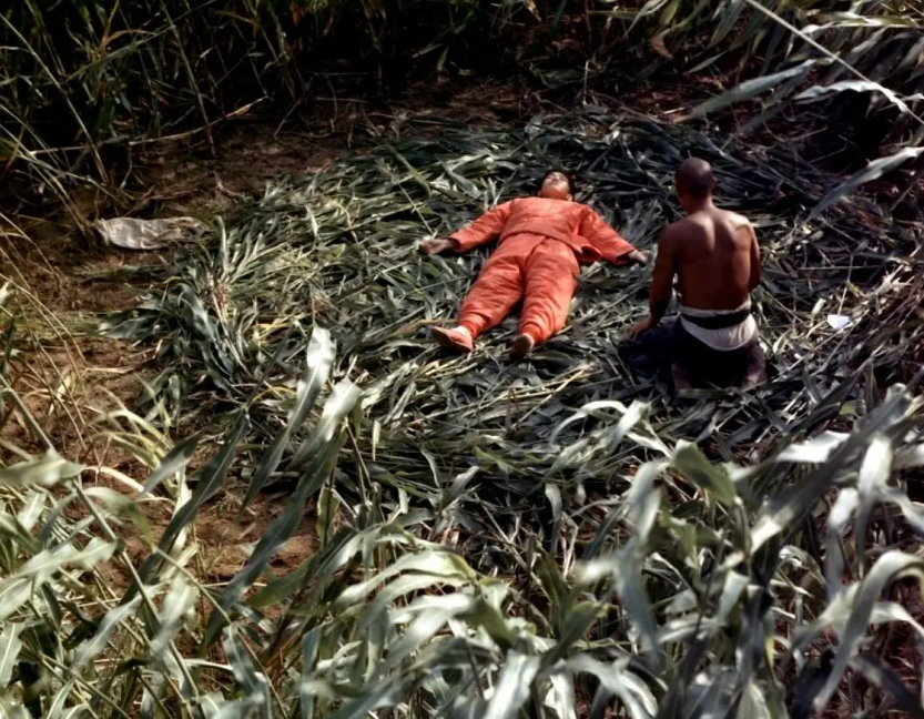 69shuba.ac短剧资讯网