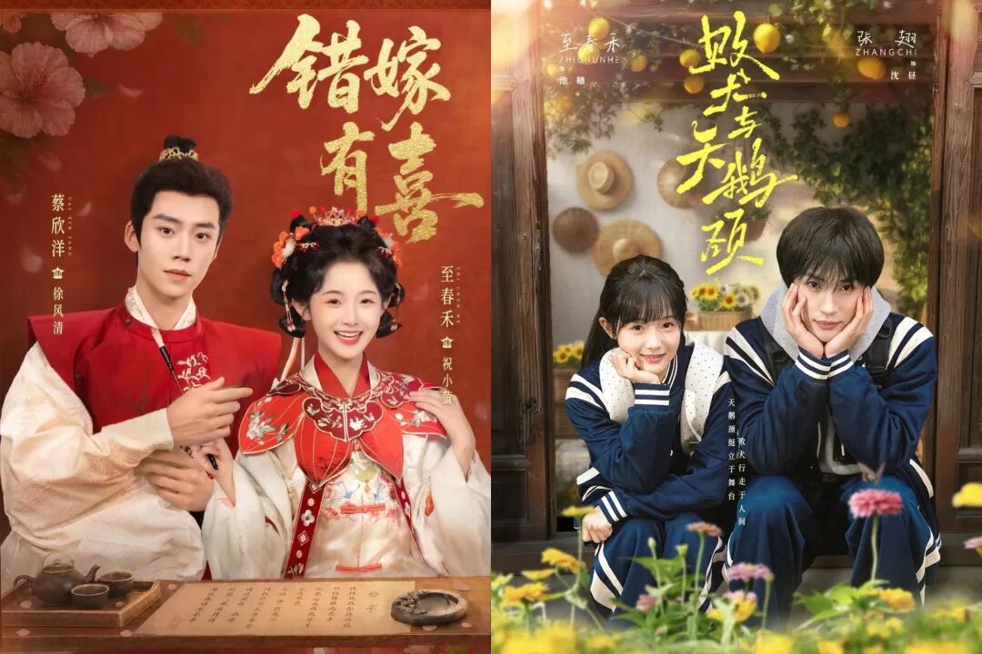至春禾赢麻了！五一档独揽两部好剧《败犬与天鹅颈》《错嫁有喜》，身体残缺人格完整，治愈系爱情尤其美好！