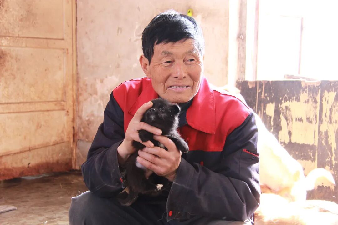 69shuba.ac短剧资讯网